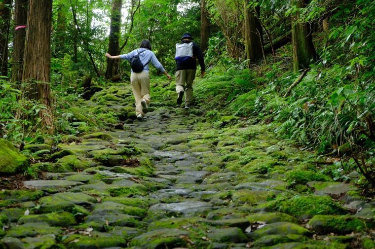hakone-hachiri-old-tokaido-highway-hiking-tour