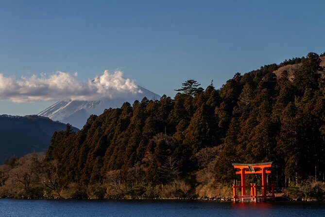 Hakone Luxury Exclusive Tour  Full Day with Chauffeured Vehicle - Practical Aspects: What You Need to Know