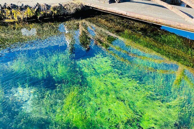Hakone & Mount Fuji Day Trip:Lake Ashi Torii Gate & Oshino Hakkai - A Deep Dive into the Tour Experience