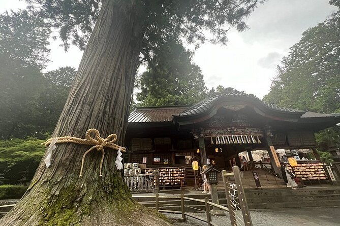 hakone-mt-fuji-tour-by-car-with-pickup-and-drop-off-from-tokyo