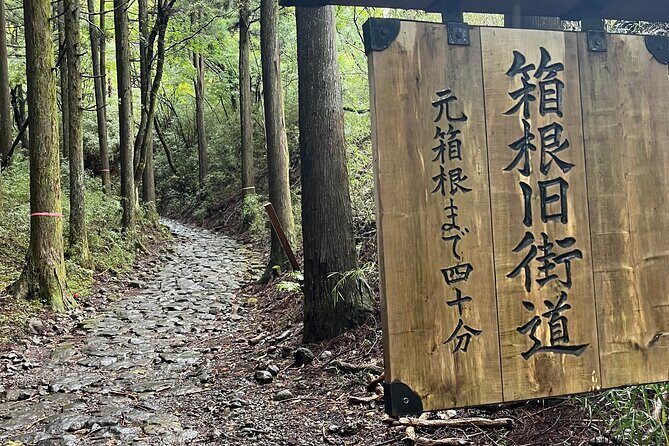 Hakone Old Tokaido Road Hiking Tour to Hakone Shrine - Key Points