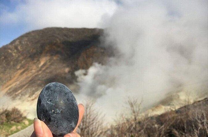 Hakone-Owakudani and Lake Ashi Guided Tour - FAQ