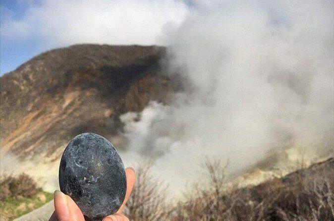 Hakone-Owakudani and Lake Ashi Guided Tour-Van - Who Would Love This Tour?