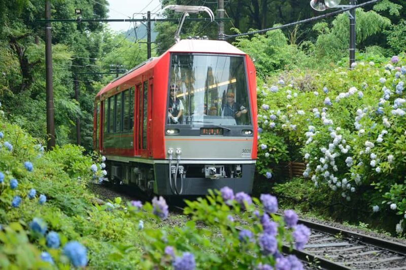 Hakone: Train Pass with Unlimited Rides & Activity Discounts - An in-depth look at what this Hakone train pass offers