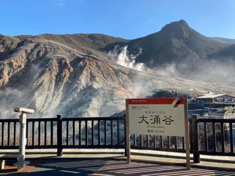 Hakone: Train Pass with Unlimited Rides & Activity Discounts - User Reviews and Authentic Insights