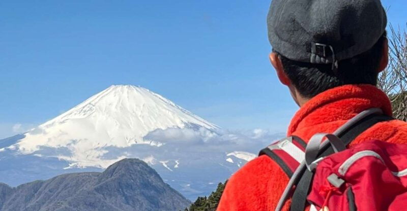 hakone-traverse-the-hakone-caldera-and-enjoy-onsen