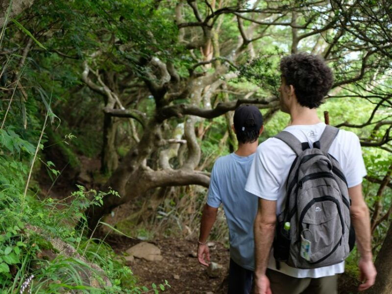 hakone-traverse-the-hakone-caldera-and-enjoy-onsen