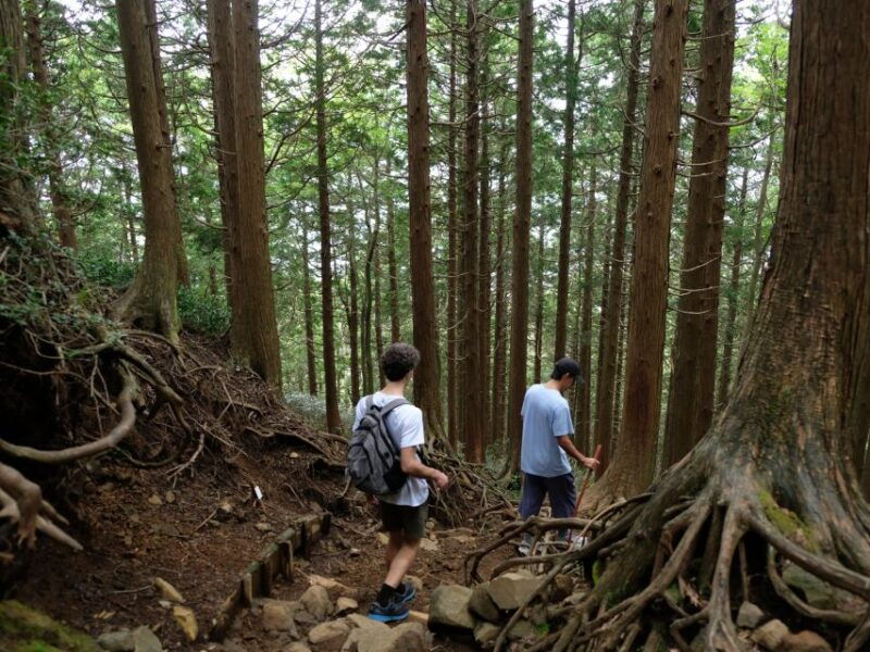 hakone-traverse-the-hakone-caldera-and-enjoy-onsen