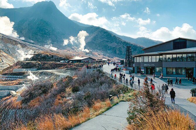 Hakone Wonders: Private Tour from Tokyo with Breathtaking Views - An In-Depth Look at the Hakone Wonders Tour