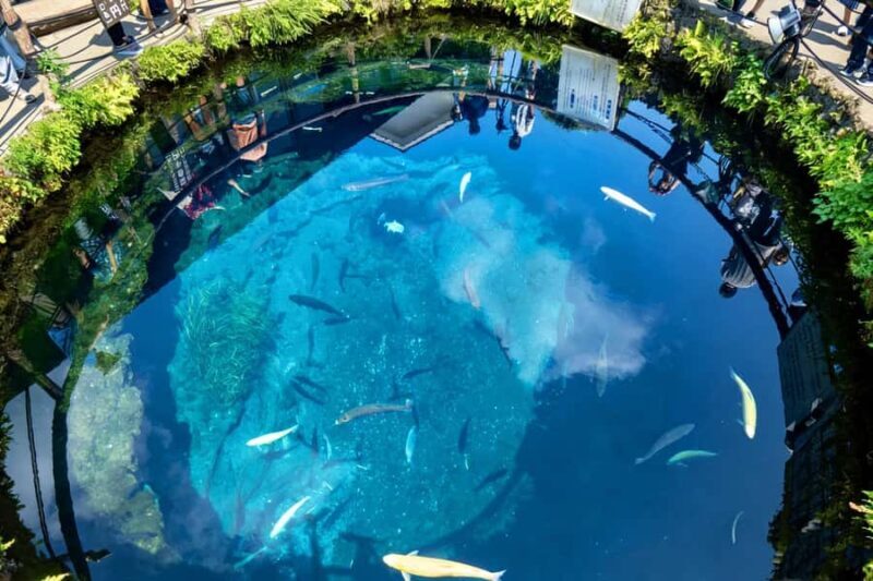 Hakone&Mt. Fuji Day Trip: Ropeway, Owakudani, Oshino Hakkai - The Value of This Tour