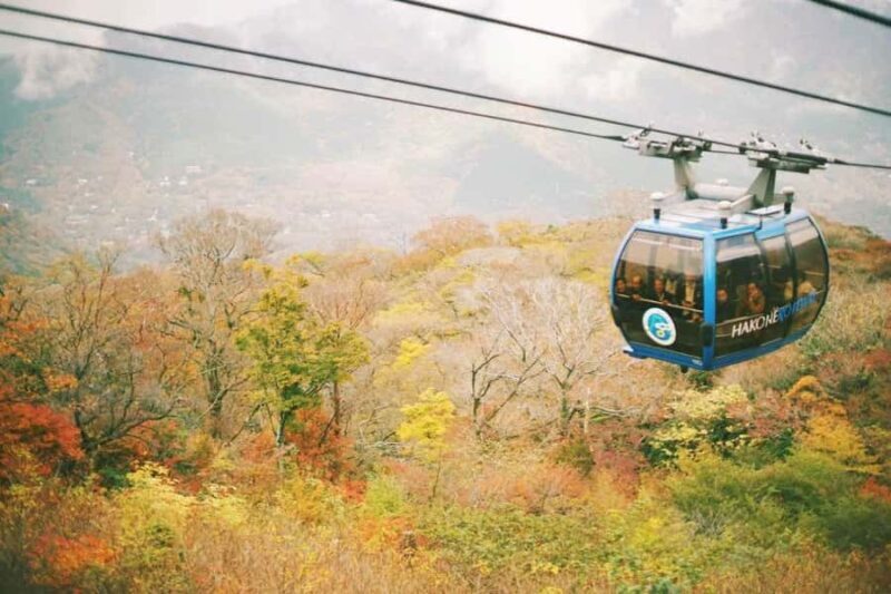 Hakone&Mt. Fuji Day Trip: Ropeway, Owakudani, Oshino Hakkai - Who Is This Tour Best For?