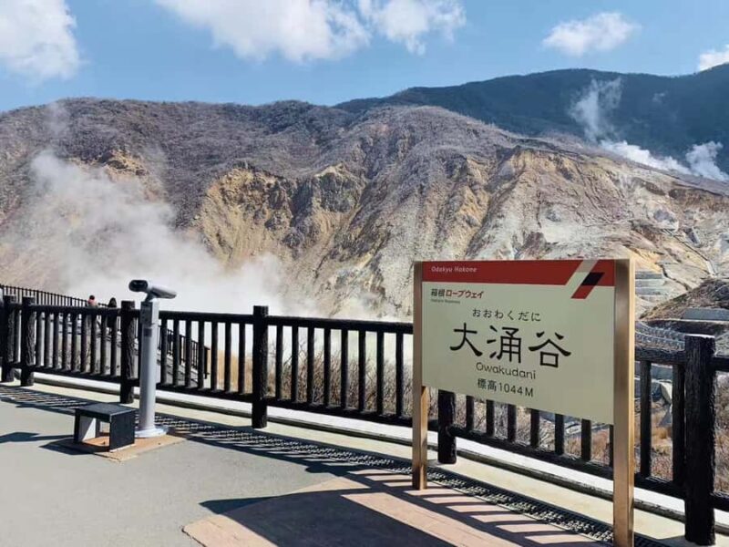 Hakone&Mt. Fuji Day Trip: Ropeway, Owakudani, Oshino Hakkai - FAQ
