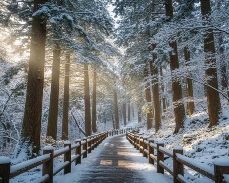 Hakuba: Snow Monkeys and Alpine Escape Private Tour - Final Thoughts: Who Should Consider This Tour?