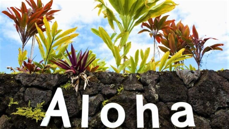 haleakala-daytime-self-guided-express-bike-tour-w-bike-maui