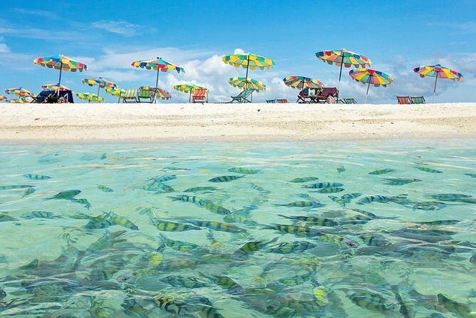 Half Day 3 Koh Khai Islands - Who Is This Tour Best For?