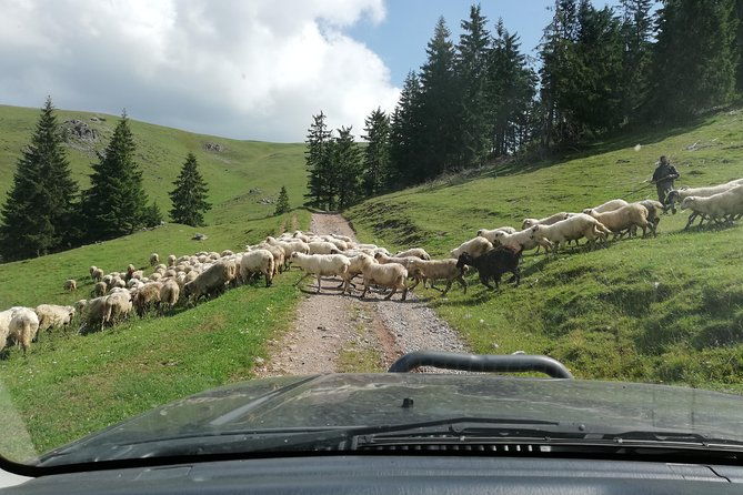 half-day-4x4-tour-in-the-eastern-carpathians