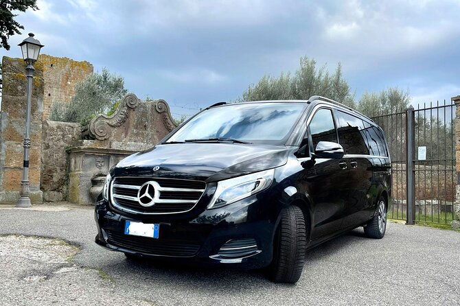 half-day-6-hour-rome-tour-driver-only-self-touring