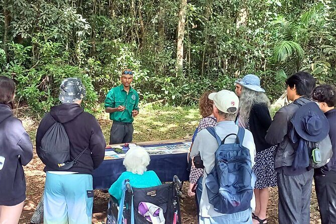 Half-Day Aboriginal Tour Atherton Tablelands - Key Points