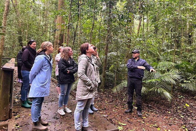 Half-Day Aboriginal Tour Atherton Tablelands - Introduction: The Experience at a Glance