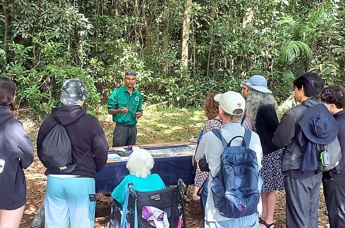 Half-Day Aboriginal Tour Atherton Tablelands - Who Should Consider This Tour?