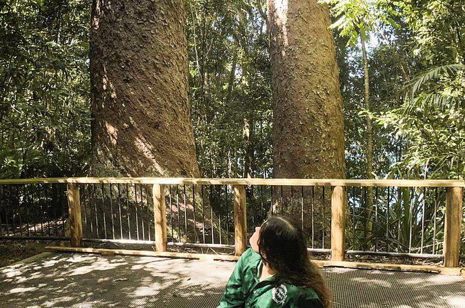 Half-Day Aboriginal Tour Atherton Tablelands - FAQ