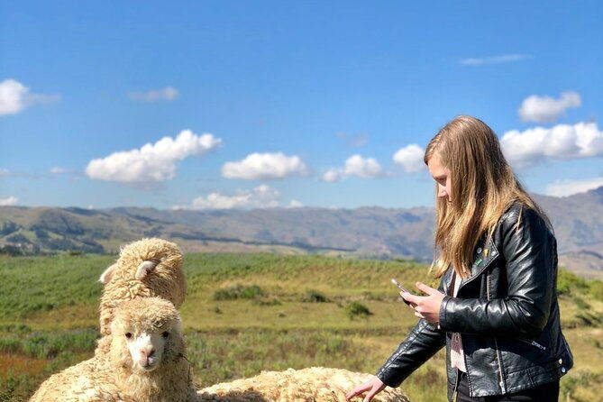 half-day-acclimatization-hike-with-llamas-and-alpacas-in-cusco