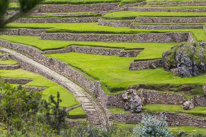half-day-acclimatization-hike-with-llamas-and-alpacas-in-cusco