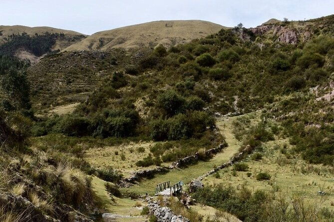 half-day-acclimatization-hike-with-llamas-and-alpacas-in-cusco