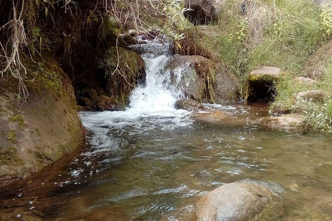 half-day-acclimatization-hike-with-llamas-and-alpacas-in-cusco