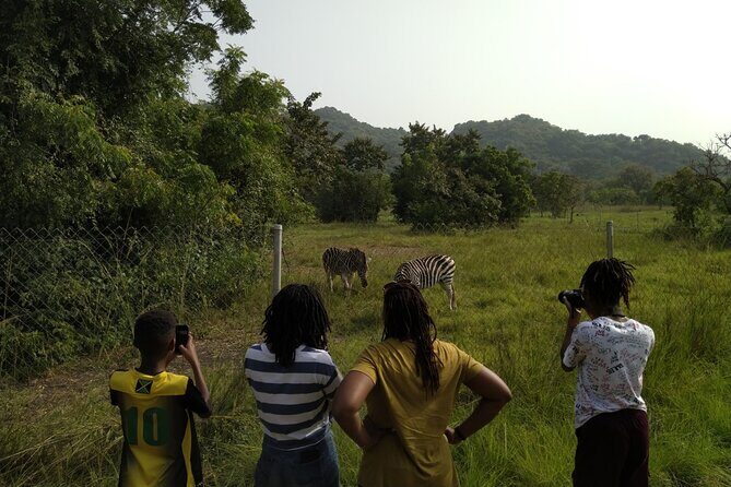 Half-day Accra Safari Tour - Exploring the Half-day Accra Safari Tour