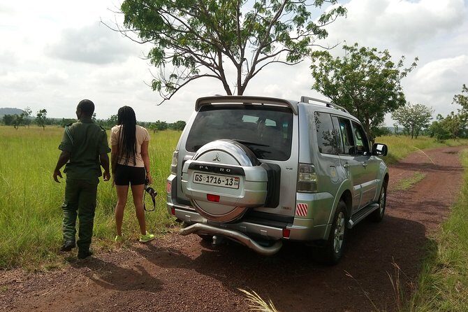 Half-day Accra Safari Tour - The Value and Practicalities