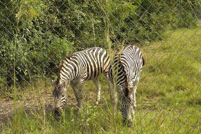 Half-day Accra Safari Tour - Final Thoughts