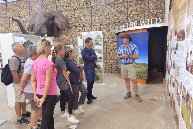 Half-Day Addo Elephant National Park - Who is This Tour Best For?