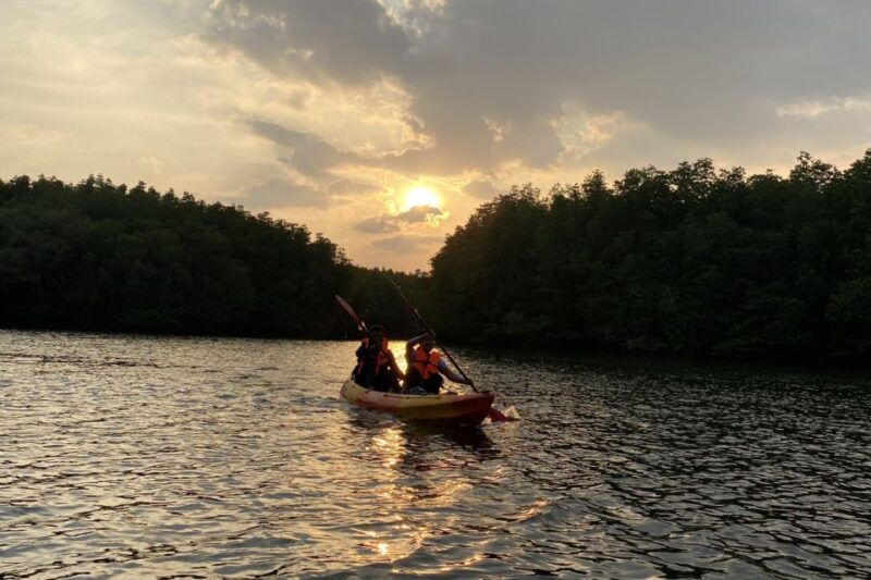 half-day-adventure-kayaking-at-mangrove-forest