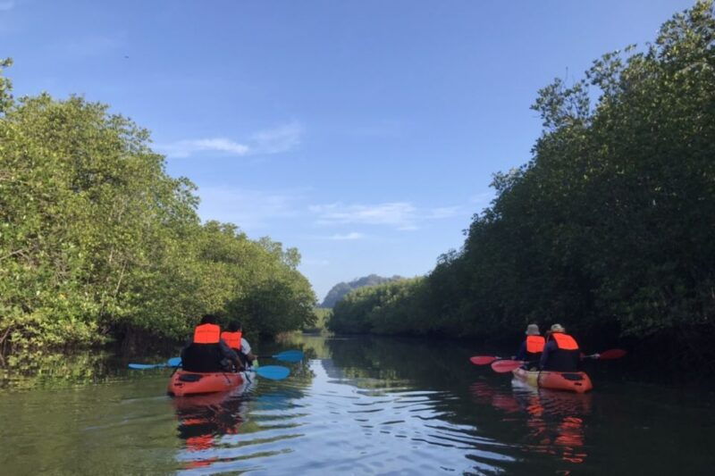 half-day-adventure-kayaking-at-mangrove-forest