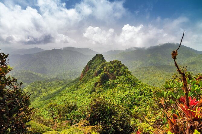 half-day-adventure-private-tour-in-el-yunque-rainforest