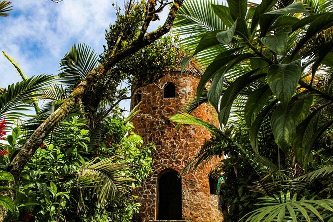 half-day-adventure-private-tour-in-el-yunque-rainforest