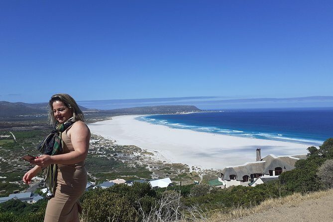 Half day African Penguin Tour - Visiting Simon’s Town and Kalk Bay