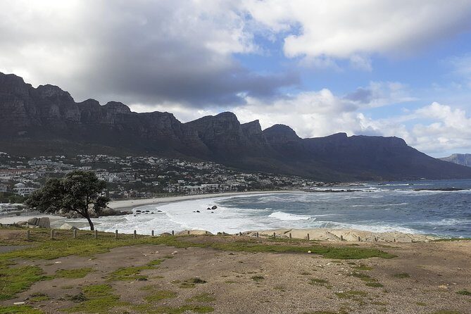 Half day African Penguin Tour - Summary of Experience