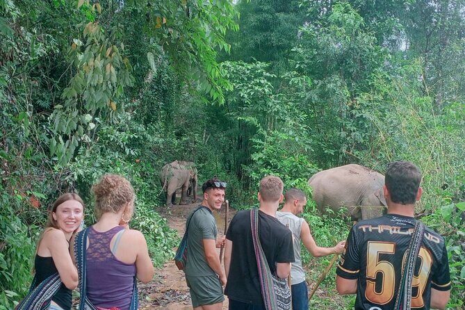 Half Day Afternoon Elephant Observation Tour in Chiang Mai - Analyzing the Itinerary