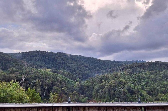 Half Day Afternoon Elephant Observation Tour in Chiang Mai - Pricing and Value