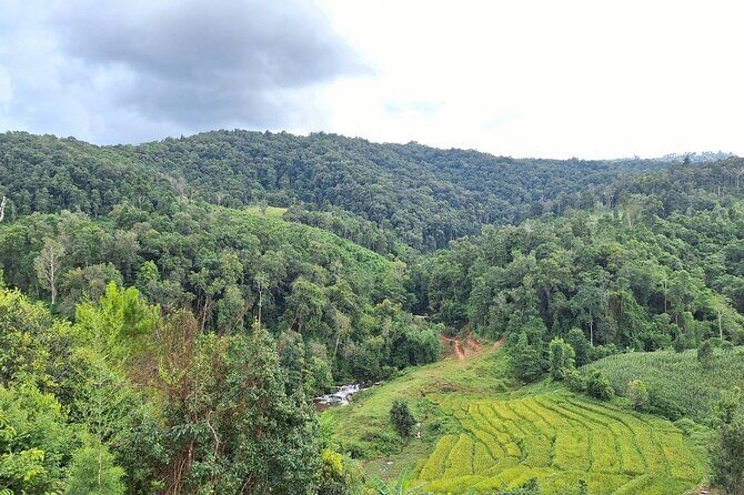 Half Day Afternoon Elephant Observation Tour in Chiang Mai - FAQ