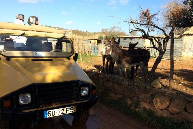 half-day-algarve-jeep-safari-sunset-tour