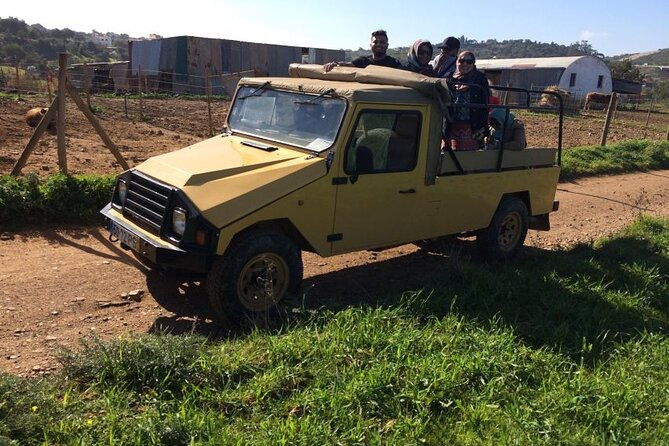 half-day-algarve-jeep-safari-sunset-tour
