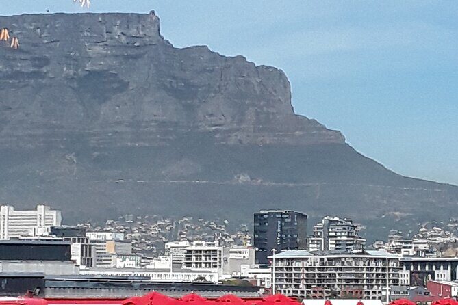 Half day am Cape Town City/Table Mountain & Bo KAAP open 8 Aug - Discover the Charm of Cape Town in a Half-Day Tour
