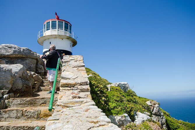 Half day am or pm Boulders Beach & Penguins with visit to Cape Point Great tour - Practical Tips for Tour Participants
