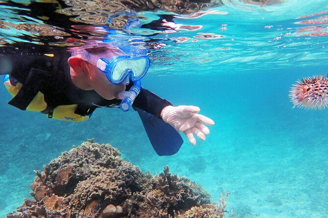 half-day-amami-japan-boat-snorkeling-adventure