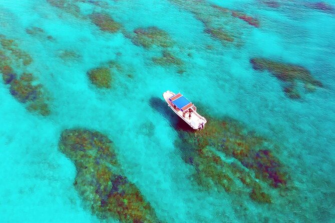 half-day-amami-japan-boat-snorkeling-adventure