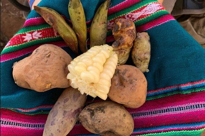 half-day-andean-llama-trek-in-the-sacred-valley