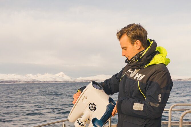 Half Day Arctic Fjord Cruise from Tromso - Introduction